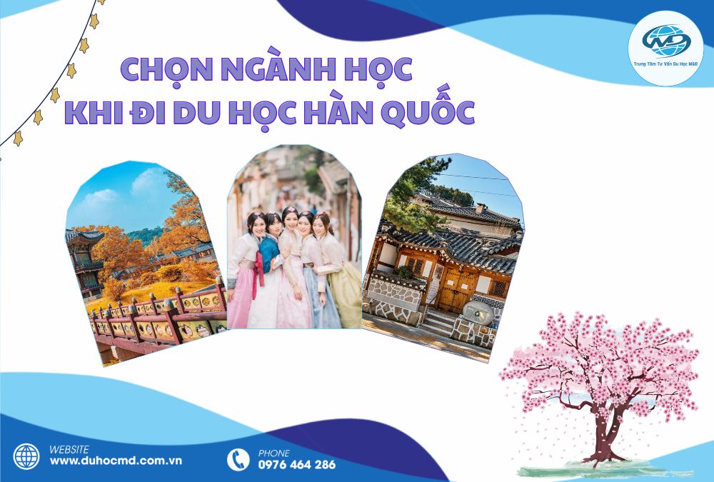 Chọn ngành học khi đi du học Hàn: Bí quyết định hướng đúng từ đầu cho du học sinh Việt